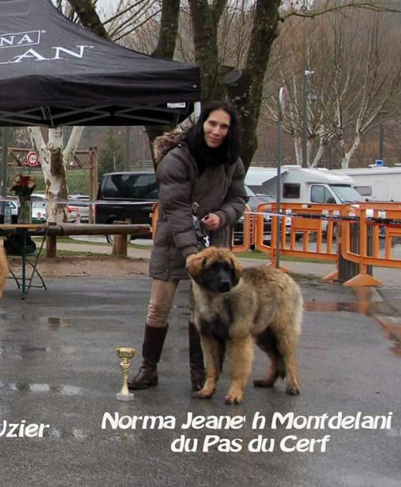 Du Pas Du Cerf - Régionale de flassans sur issole, Norma mon bébé 