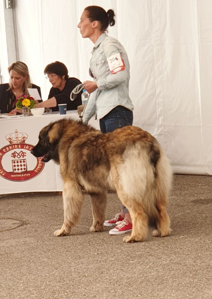 Norma jeane'h montdenali Du Pas Du Cerf