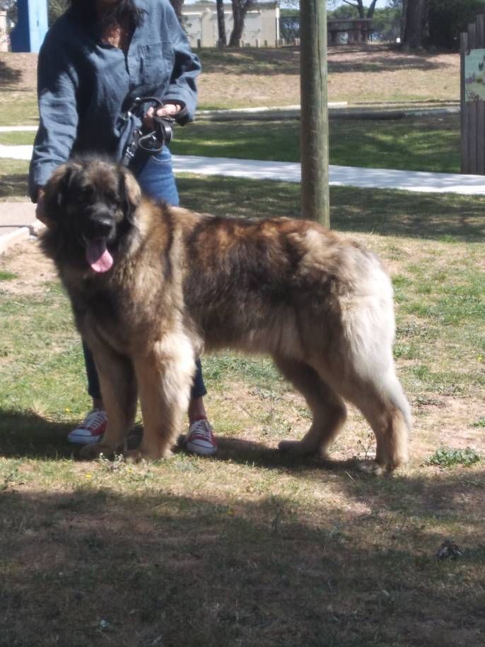 Norma jeane'h montdenali Du Pas Du Cerf