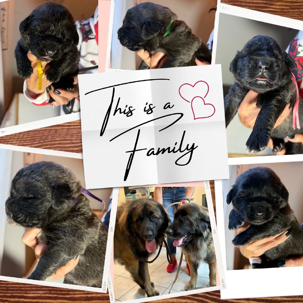 Bienvenue les bébés 